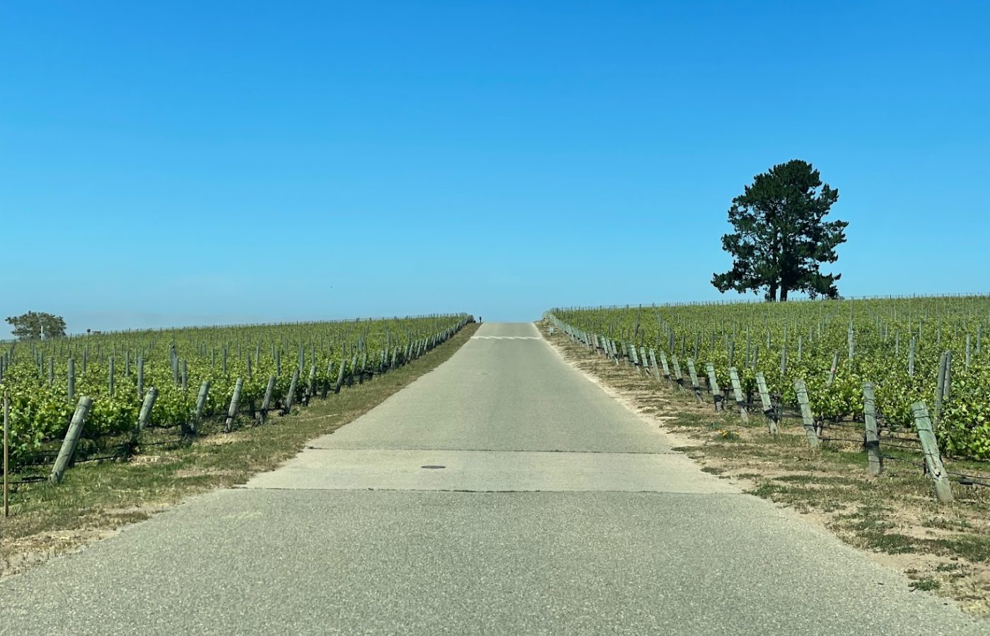 California/Paso Robles