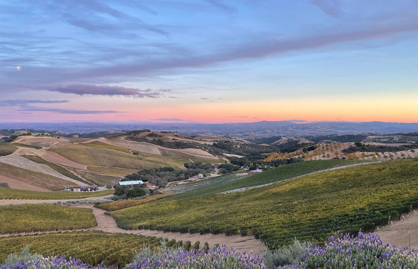 Paso Robles & the Central Coast